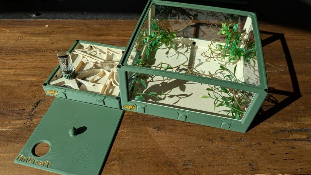 Kit Grandes Colonies - Image 1