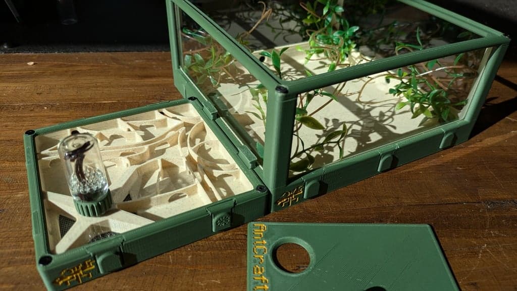 Kit Grandes Colonies - Miniature 5