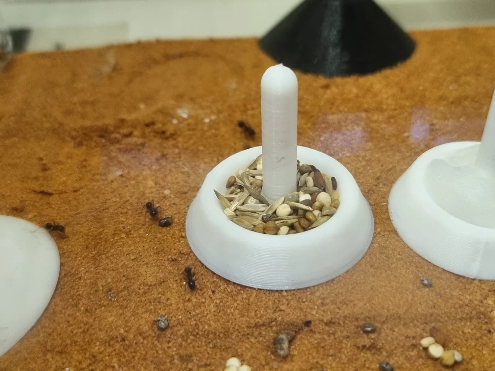 Mangeoire Liquide/Graines - Image 1