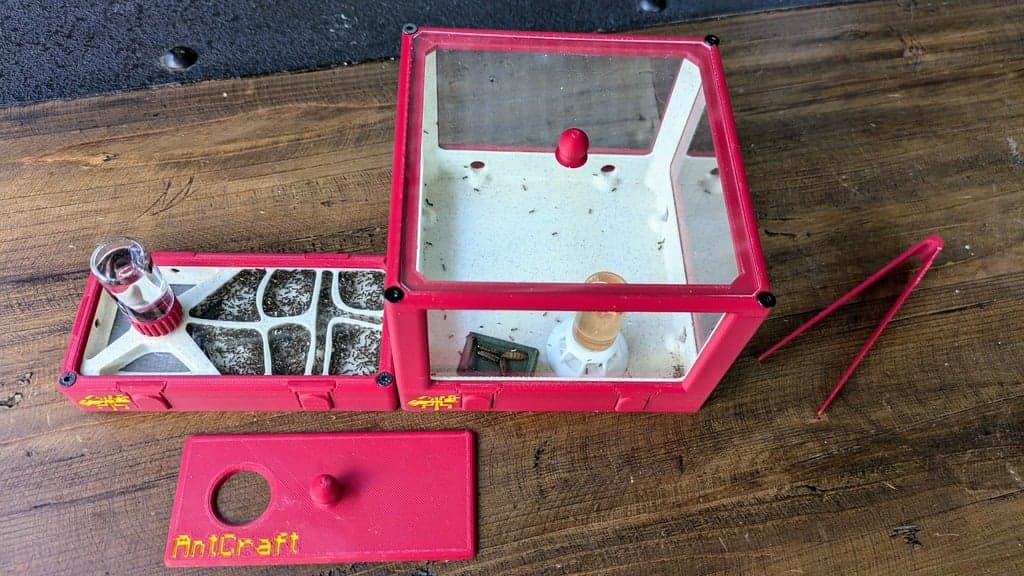 Kit Petites Espèces - Image 1