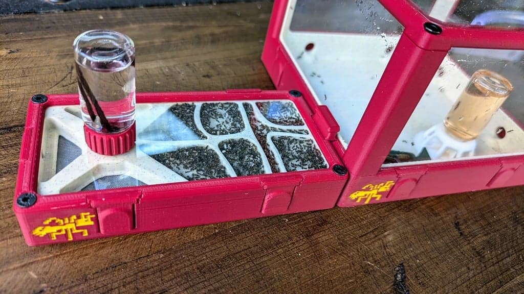 Kit Petites Espèces - Miniature 2