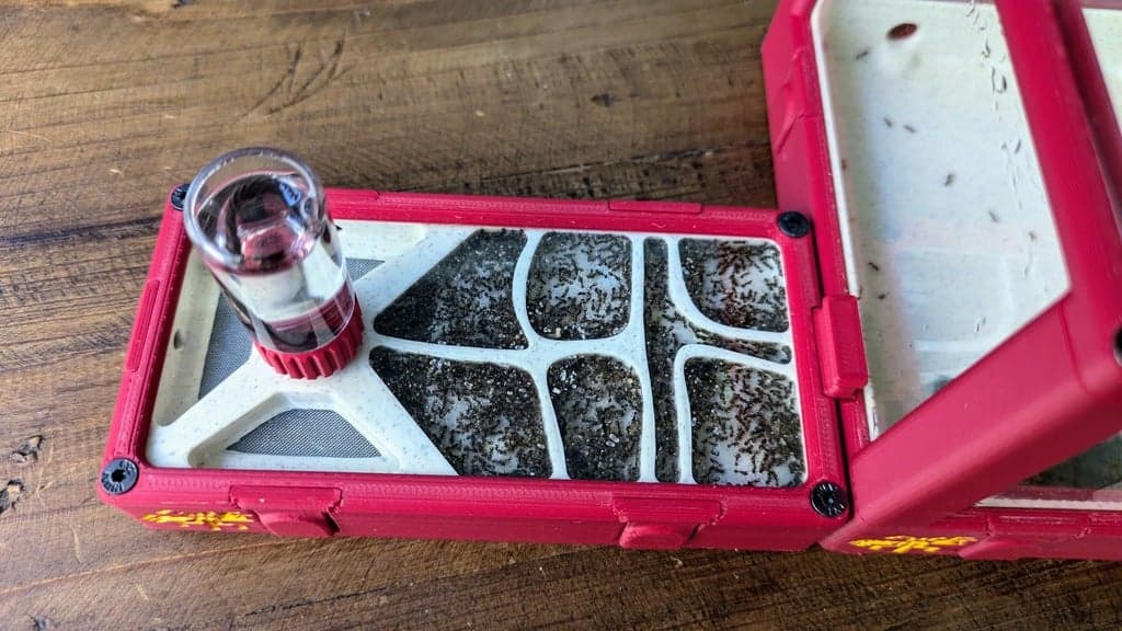 Kit Petites Espèces - Miniature 3